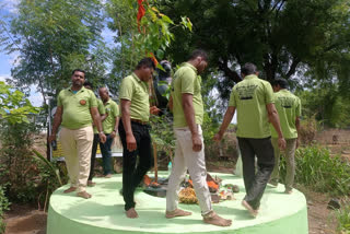 men worship peepal tree