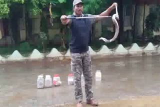 Haveri police constable protection of snakes