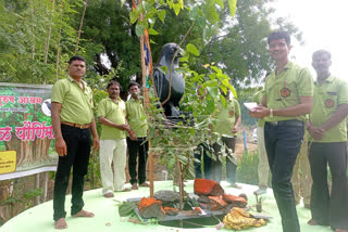 Wife victim men worship Pimpal tree in Aurangabad  Wife Victims mens Association in Maharashtra  men worship Pimpal tree in Aurangabad  Maharashtra news  ಪತ್ನಿ ಬೇಡವೆಂದು ಅರಳಿ ಮರಕ್ಕೆ ಪೂಜೆ ಸಲ್ಲಿಸಿದ ಪುರಷರು  ಮಹಾರಾಷ್ಟ್ರದಲ್ಲಿ ವೈಫ್ ವಿಕ್ಟಿಮ್ಸ್ ಮೆನ್ಸ್ ಅಸೋಸಿಯೇಷನ್  ಔರಂಗಾಬಾದ್​ ಸುದ್ದಿ