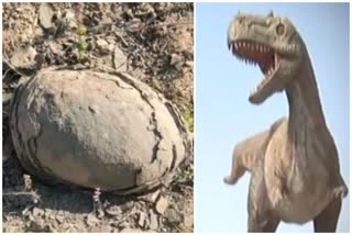 Rare dinosaur Egg Found In MP
