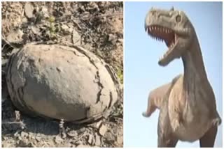 RARE DINOSAUR EGG IN EGG FOUND BY DU RESEARCHERS IN MP DHAR