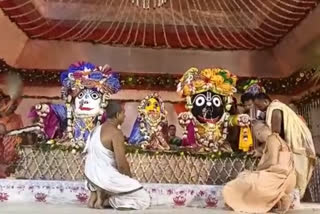 ISKCON Snan Yatra of Lord Jagannath Deb at Mayapurur