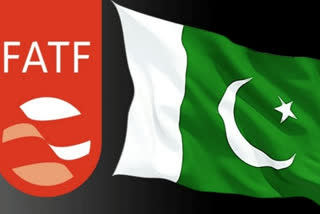 Pakistan launches diplomatic effort to get out off FATF grey list: report