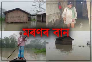 More than 60 families have been affected by floods at junai