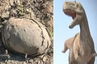 MP dinosaur egg News