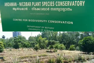 karyavattom campus kerala university  andaman nicobar plant conservation in karyavattom campus  karyavattom campus botany department  കാര്യവട്ടം കാമ്പസ്  ആൻഡമാൻ സസ്യസംരക്ഷണം  ആൻഡമാൻ നിക്കോബാർ പ്ലാൻ്റ് സ്‌പീഷിസ് കൺസർവേറ്ററി