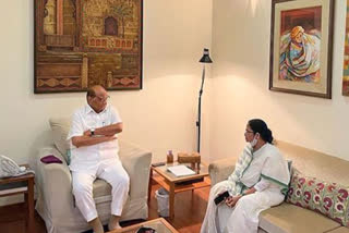 ahead-of-oppn-leaders-meet-mamata-banerjee-calls-on-sharad-pawar-at-his-delhi-residence