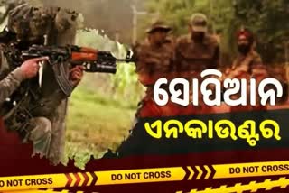 Shopian Encounter: ସେନାର ଗୁଳିରେ ଦୁଇ ଆତଙ୍କୀ ନିପାତ