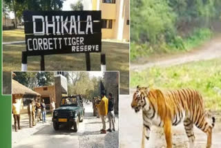 Corbett Dhikala zone