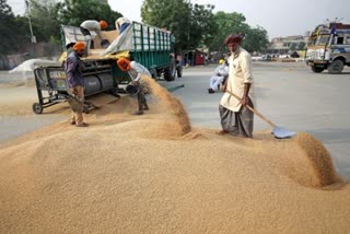 UAE to suspend exports and re exports of Indian wheat for four months