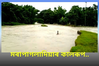 Floods in Tihu