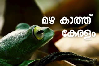 കേരളത്തിലെ മണ്‍സൂണ്‍  മഴ മുന്നറിയിപ്പ്  കേരളത്തില്‍ മണ്‍സൂണ്‍ കാലം  ഇടവത്തില്‍ മഴപെയ്യുന്നില്ല  ജൂണിലെ മഴ  Concern over lack of rain in Kerala  Kerala Rain update