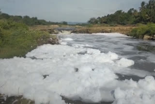 ஆற்றில் கலக்கும் தோல் கழிவுகள்