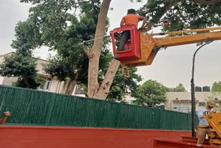 heavy-damage-due-to-storm-in-delhi-ndmc-employees-worked-on-their-lives