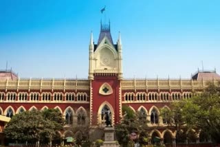 कलकत्ता उच्च न्यायालय , High Court on west bengal violence