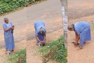 crow rescue  bird rescue  kerala special news  viral videos  ഷോക്കേറ്റ കാക്കയെ രക്ഷിച്ചു  മാതൃകയായി അറുപത്തിയഞ്ചുകാരി  കാക്കയ്ക്ക് പുതുജീവൻ നൽകി കുട്ടിയമ്മ  സഹജീവി സ്‌നേഹത്തിന്‍റെ മാതൃക