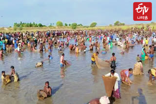 மீன்பிடி திருவிழா