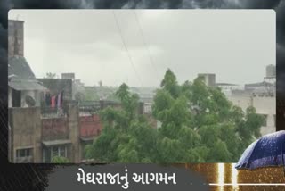 Rain in Bharuch: ભરૂચમાં વરસાદના પધરામણા, ખેડૂતો વાવણીની શરૂઆત કરવા તત્પર બન્યા