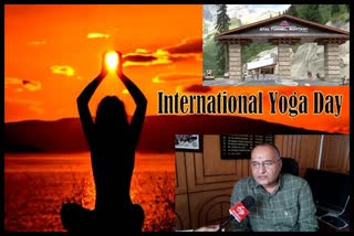 International Yoga Day in himachal