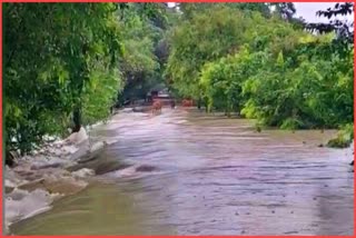 বৰপেটা জিলাত ১৮ জুনলৈকে বন্ধ থাকিব শিক্ষানুষ্ঠান