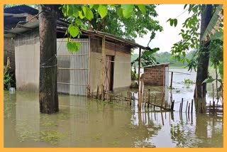 baralia-river-damages-its-embankment-at-rangia