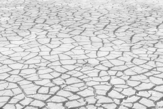 Centre sanctions Rs 1,043.23 crore to Rajasthan and Nagaland as drought mitigation fund