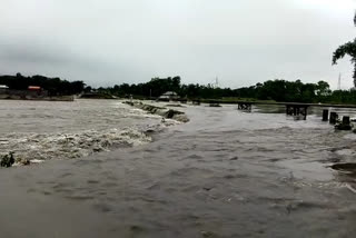 Yellow Alert issued for rivers in Jalpaiguri and alipurduar