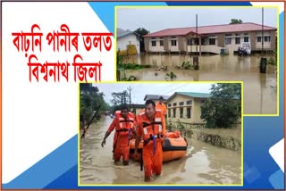 Flood in Biswanath