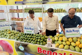 Malda Mango in Delhi