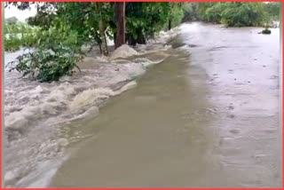 Nalbari District disaster management announces to close all educational institutes on Saturday