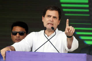 rahul gandhi responded on iiit basara students protest