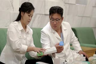 North Korea diseases