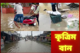 different parts of assam in artificial flood