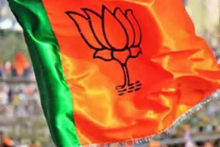 Presidential poll: BJP's 14-member panel to manage campaign for NDA candidate