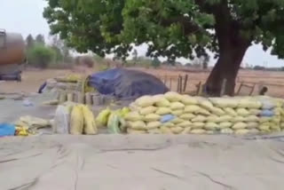 rewa police seized five trucks of cement