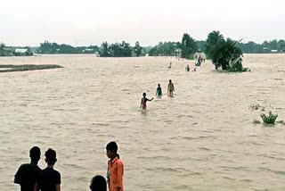 Assam Flood: ଗଲାଣି ୫୪ ଜୀବନ, ୧୮ ଲକ୍ଷ ଲୋକ ପ୍ରଭାବିତ