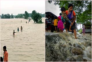 Assam floods: Flood situation critical in Assam, neighbouring states, over 18 lakh people affected
