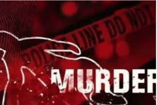 Murder in Mayurbhanj: ବୃଦ୍ଧାକୁ ପଖର ଛେଚି ବିଭତ୍ସ ହତ୍ୟା