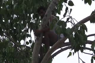 Prisoner climbed on tree in Tikamgarh Jail