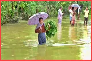 Flood situation remains critical in Lakhimpur