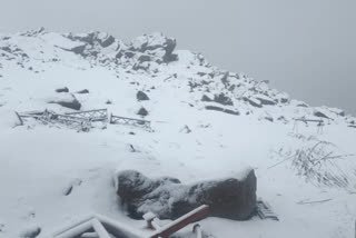 Fresh Snowfall in Reach of Gulmarg