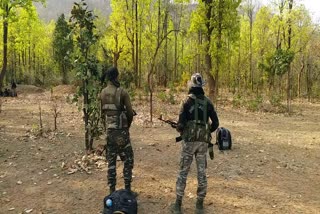 Four cane bomb recovered hidden by Maoists in Latehar