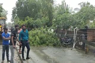 Rain in Bhilwara