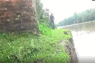 huge erosion in disang river in sivasagar