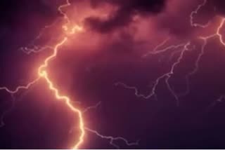 Death due to lightning in Gaurella