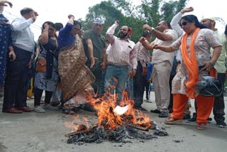 AAP burnt the effigy of the central government