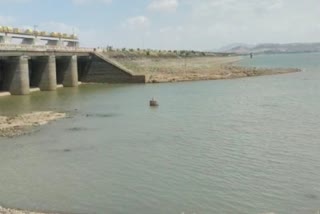 water in all dams of nashik district