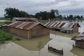 flood effect in kaliabar barghuli