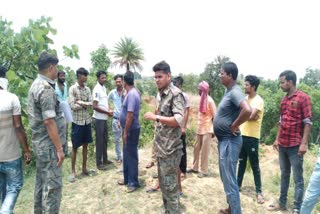 dead body found hanging from tree