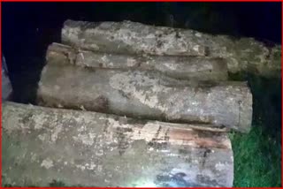 Illegal timber seized by Kathiatoli forest department